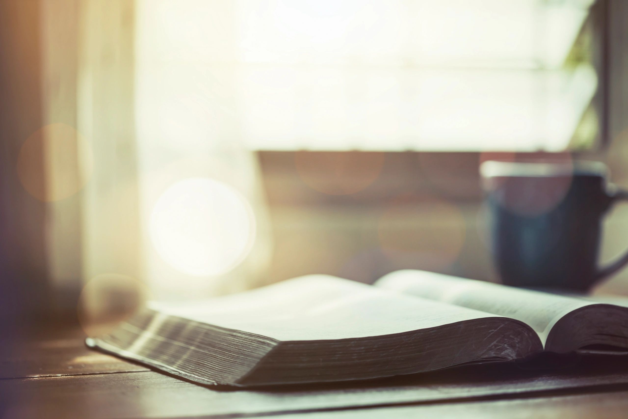 Open Bible ready for study and reflection